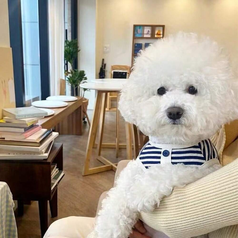Simple Striped Spring/Summer Puppy Dog Knit Vest – Teddy Bichon Bear, Small and Medium-Sized Dog & Cat Clothes