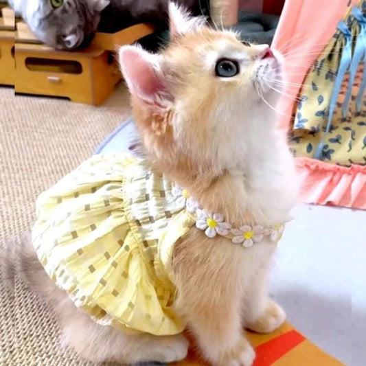 Cat Dress Thin Summer Anti-Shedding Kitten Princess Style Dresses For Scottish Fold & Kittens, Puppy Clothes