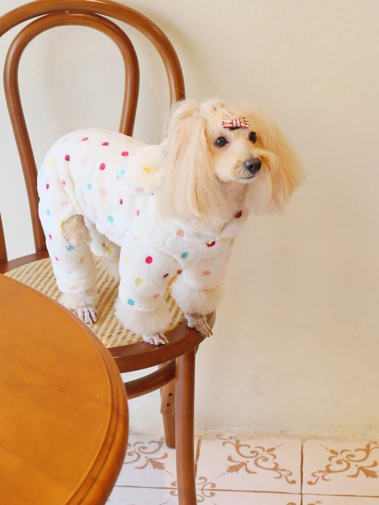 1pc Coral Fleece Polka Dot Hooded Jumpsuit Pet Winter Clothes For Cats & Dogs, Super Soft & Warm