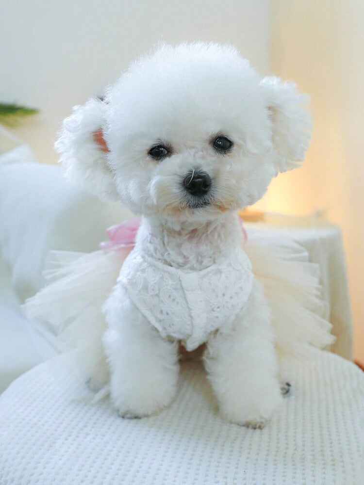 1pc Valentine's Day Pet Clothes, Cute Tulle Skirt, Suitable For Small Dogs